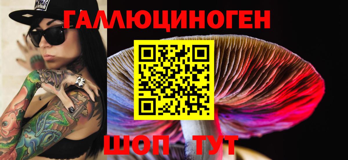 Псилоцибиновые грибы мицелий Советская Гавань
