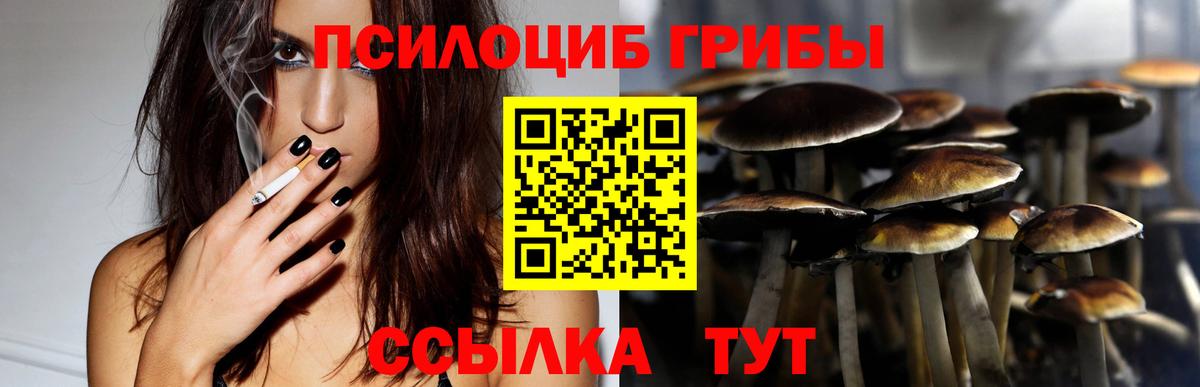 Псилоцибиновые грибы MAGIC MUSHROOMS  Вход с VPN  Советская Гавань  Галлюциногенные грибы Psilocybe 